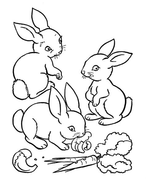 cute animal rabbit coloring books sheet  kids drawing cartoon