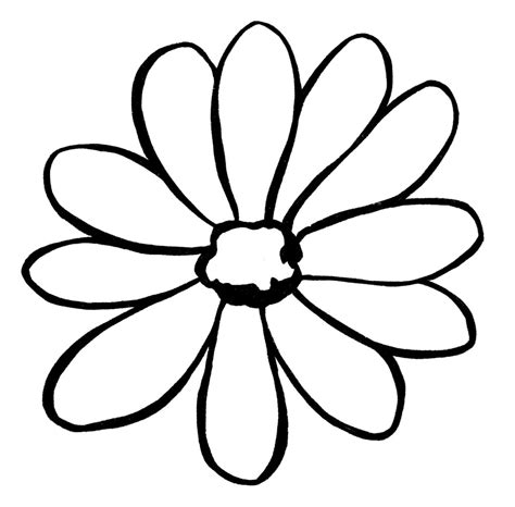 flower drawing  easy steps  graphics fairy