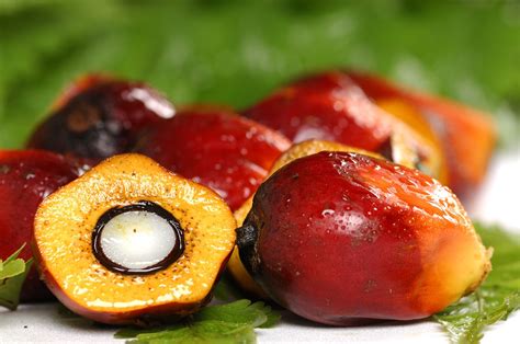 buy products  sustainable palm oil  turn