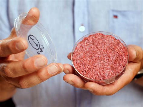 potential cost efficiency  lab grown meat cultivated food