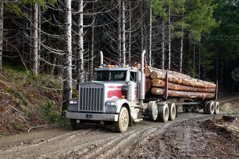 log truck  stock photo  vecteezy