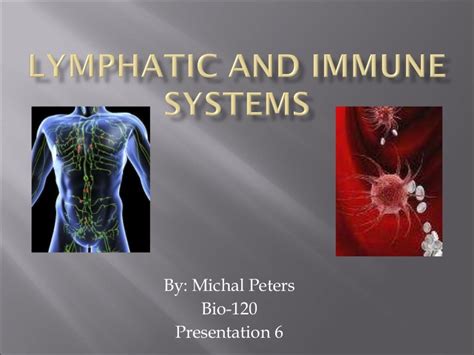 Lymphatic And Immune Systems Presentation For Chapter 6