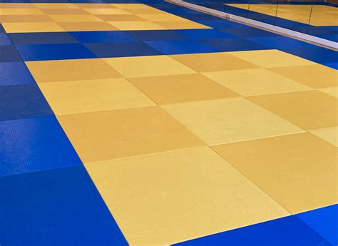 nieuwe judomat  leek judo academy noord nederland