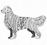 Golden Retriever Dog Coloring Pages Zentangle Drawing Printable Vector Pencil Stylized Illustration Adult Albanysinsanity Colors Pattern Preview sketch template