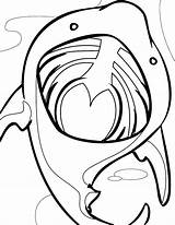 Coloring Shark Mouth Basking Pages Open Lip Clipart Gloss Color Clipartbest Getcolorings Lips Getdrawings Colouring Clipground sketch template