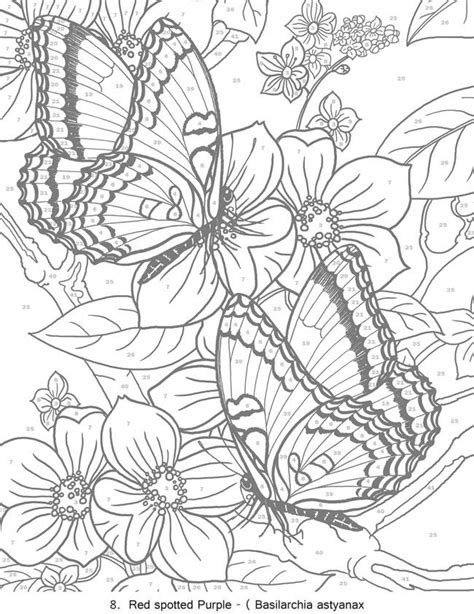 adult color  number coloring pages coloring home