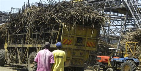 entry of mauritian sugar millers to shake up industry the east african