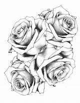 Tattoovorlagen Rosen Zenideen Erstaunliche Vorlagen Ideen Teilen sketch template