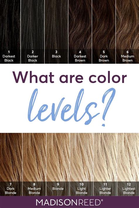 level  hair color chart warehouse  ideas