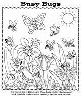 Coloring Bugs Pages Bug Busy Preschool Kids Worksheet Spider Insect Nature Garden Sheets Color Activity Lightning Cute Dover Printable Publications sketch template