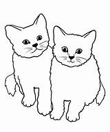 Cats Ekor Kucing Dua Ciptaan Mahmud Chord Gives sketch template