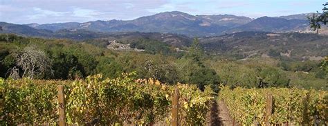 the ultimate wheelchair travel guide to the sonoma california area