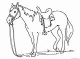 Pony Shetland Coloring Pages Color Printable Cute Print Horses Getcolorings sketch template
