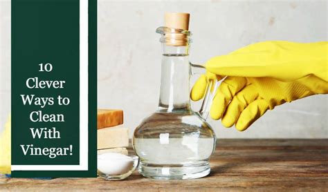 clever ways  clean  vinegar