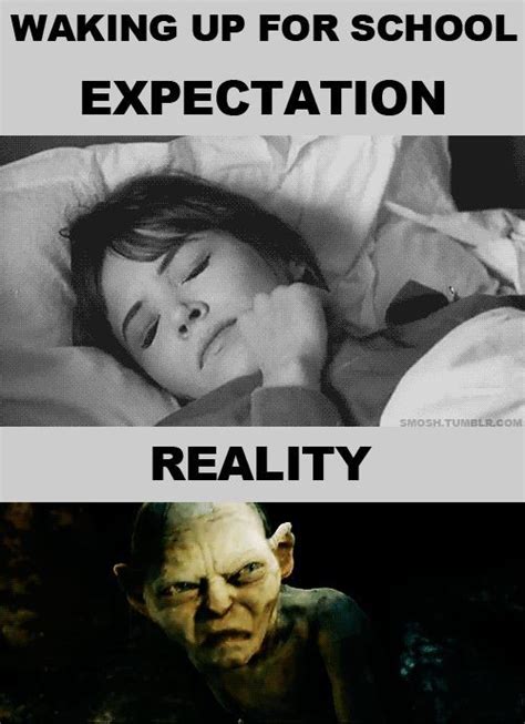 23 best expectation vs reality images on pinterest