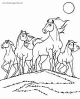 Foal Coloring Pages Getdrawings sketch template