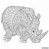 Zentangle Rhino Rhinoceros Colouring Creativos Zentangles Animals Visiter Stylized Fotolia sketch template