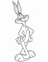Pernalonga Tunes Looney Tudodesenhos Popular Ad3 sketch template