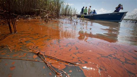 numbers  explain  bp oil spill grist