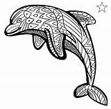 Delfin Ausmalbilder Delphin Tiere Delfine Ausmalen Erwachsene Kinder Malvorlagen Nur sketch template