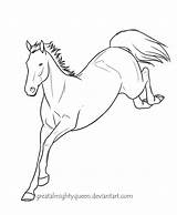 Horse Drawing Gypsy Paard Lipizzaner Lineart Nao Amika Webstockreview Texte Couleur sketch template