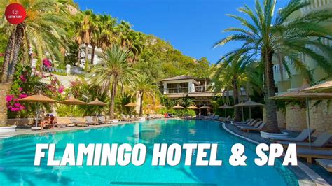 flamingo hotel spa oeluedeniz youtube
