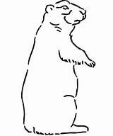 Prairie Dog Coloring Pages Drawing Clipart Dogg Snoop Printable Getdrawings Supercoloring Getcolorings Library Ground Insertion Codes sketch template