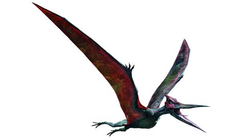 Pteranodon Jurassic World Battle Damage Jurassic World Fallen