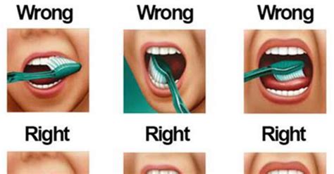 youre brushing  teeth wrong heres