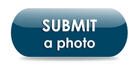 photo   week submission chester county pa official website