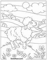 Sheep Daylight Verbnow sketch template