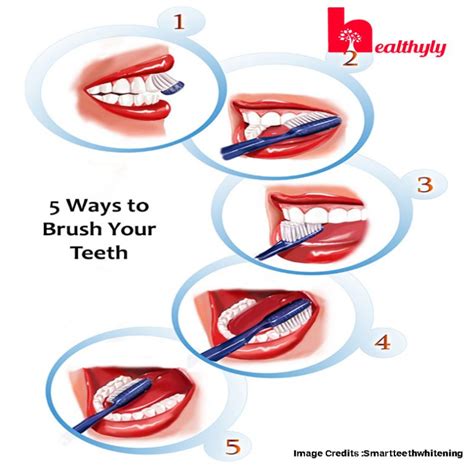 steps  brush  teeth properly   healthy mouth healthyly