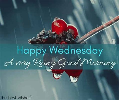perfect good morning wishes   rainy day  images
