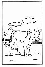 Koe Ausmalbilder Animals Animaatjes Cows Djur Dieren sketch template