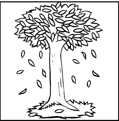tree  autumn day tree coloring page leaf coloring page fall