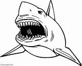 Megalodon Coloringall Automatically sketch template