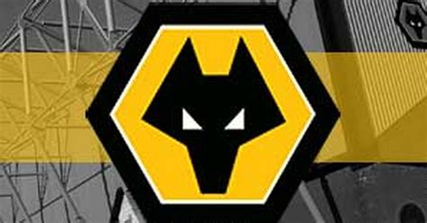 wolves transfer news news views gossip pictures video mirror online