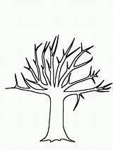 Tree Template Printable Trunk Coloring Popular sketch template