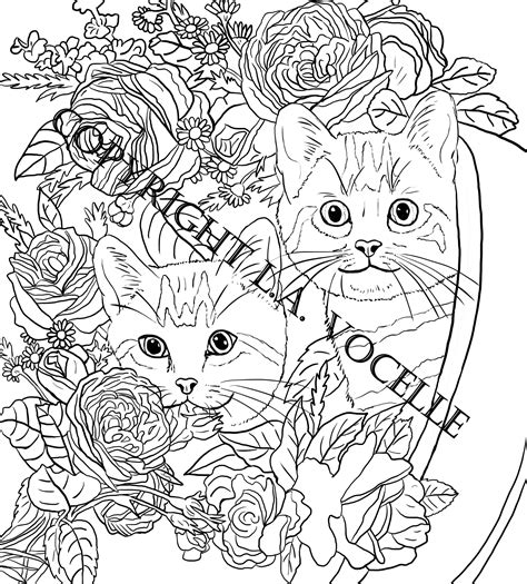cats  flowers coloring book cute cat  pillow  flowers cats