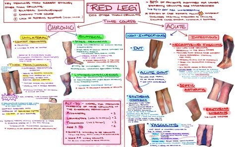 red leg cellulitis mimickers unilateral grepmed