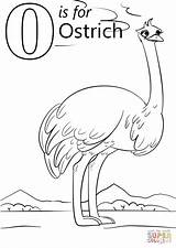 Ostrich Coloring Letter Pages Cartoon Printable Preschool Alphabet Kids Supercoloring Worksheets Drawing Printables Book Crafts Abc Puzzle Words Animals Categories sketch template