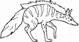 Hyena Iena Hiena Hienas Colorear Designlooter Mammiferi Animali sketch template