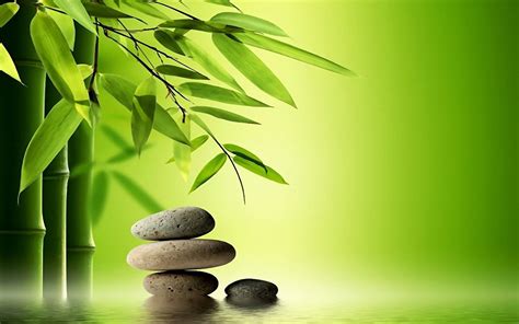 bamboo tree and special rocks for massage relaxing time awesome 3d and hd rendered wallpapers