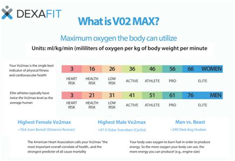 vo max definition chart  faq dexafit