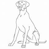 Dane Great Coloring Pages Dog Line Clipart Template Lps Sketch Library Popular Lineart Coloringhome sketch template