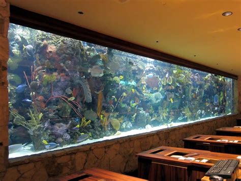 aquarium designs  suit  home ideas  homes