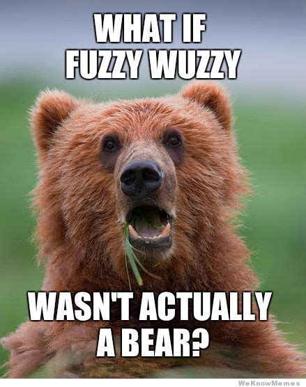 bear memes