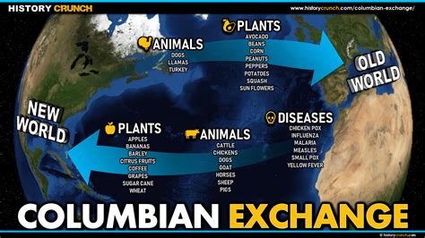 columbian exchange map history crunch history articles biographies