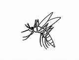 Mosquito Coloring Pages Printable Color Kids Bestcoloringpagesforkids Print sketch template