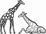 Giraffe Coloring Pages Printable Kids Print sketch template